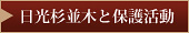 日光杉並木と保護活動