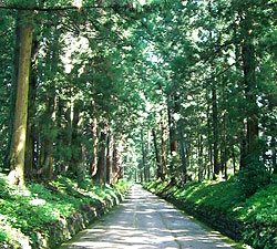 日光街道（野口附近）